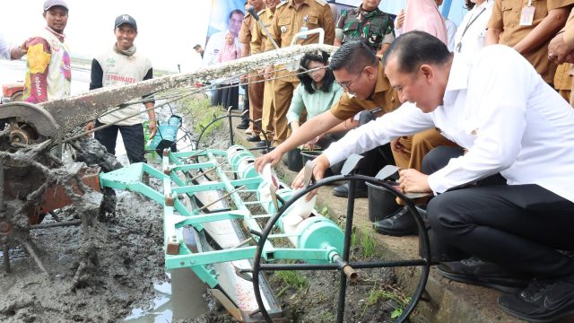 Provinsi Banten Tembus Delapan Besar Lumbung Beras Nasional, Andra Soni Soroti Ketahanan Pangan