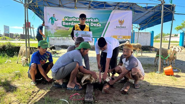 BAZNAS Banten Salurkan Kurban hingga Pelosok daerah 3T