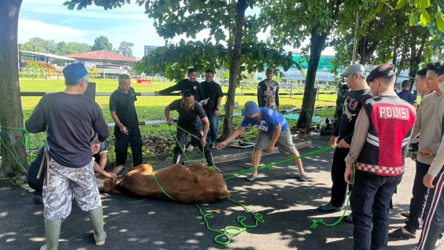 Rajut Kepedulian Sosial Idul Adha 1447 H, Korsabhara Baharkam Polri Salurkan 802 Paket Daging Kurban