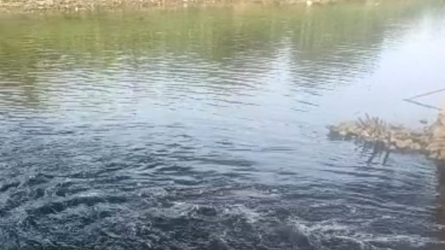 DLHK Banten Temukan Penyebab Air Sungai Cisadane Menjadi Hitam