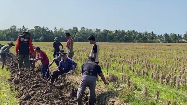 Kerap Banjir dan Kekeringan, Mahasiswa KKN K-19 Unma Normalisasi Irigasi