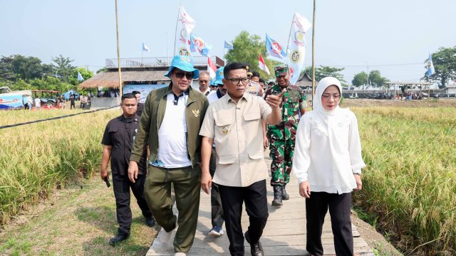 Panen Raya 1.500 Hektare di Carita, Gubernur Andra Soni Genjot Produksi Pangan untuk Dukung Asta Cita Prabowo